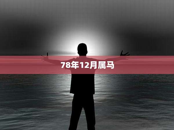 78年12月属马