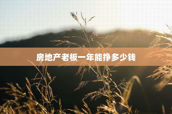 房地产老板一年能挣多少钱