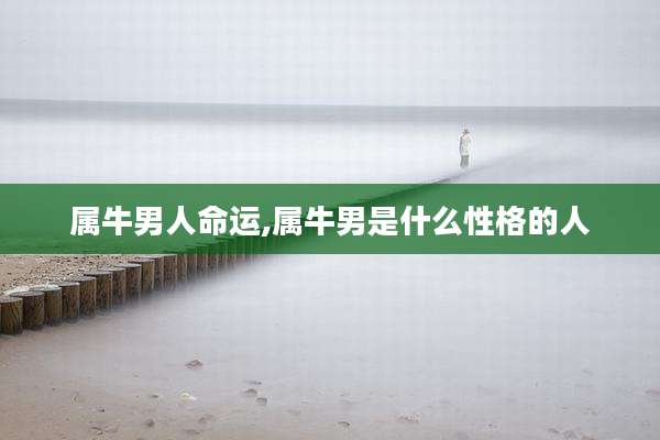属牛男人命运,属牛男是什么性格的人