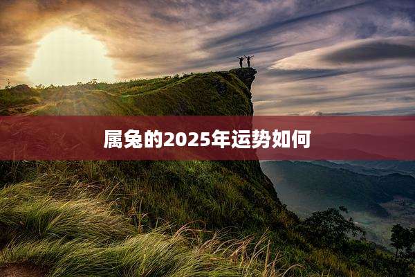 属兔的2025年运势如何