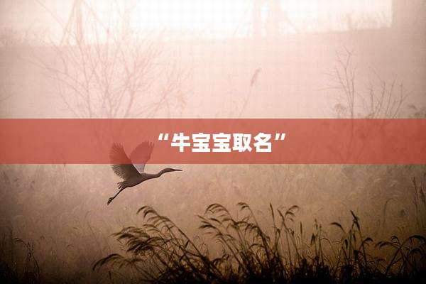 “牛宝宝取名”