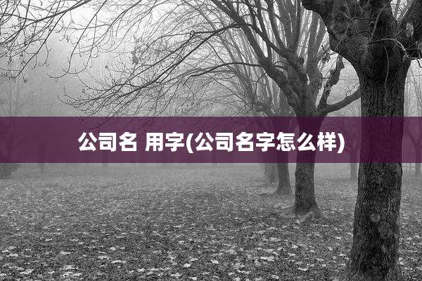公司名 用字(公司名字怎么样)