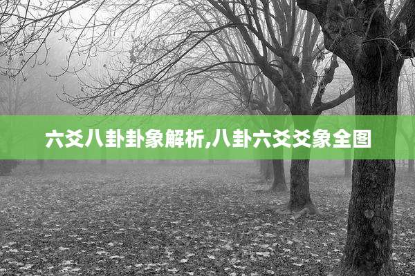 六爻八卦卦象解析,八卦六爻爻象全图