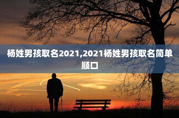 杨姓男孩取名2021,2021杨姓男孩取名简单顺口