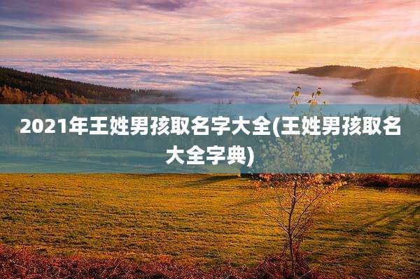 2021年王姓男孩取名字大全(王姓男孩取名大全字典)