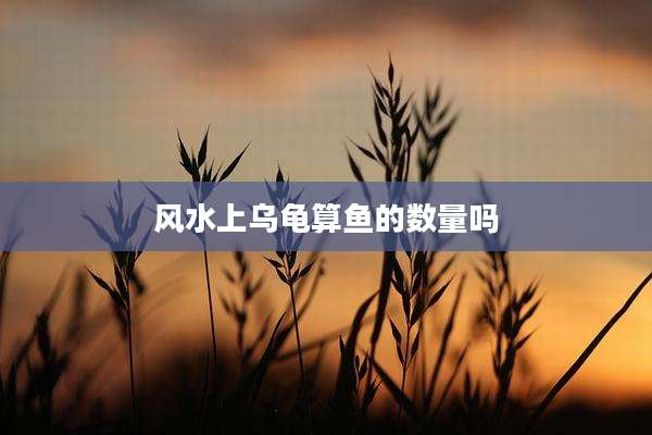 风水上乌龟算鱼的数量吗