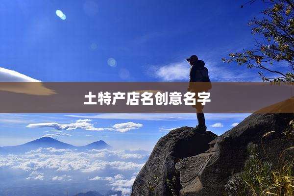 土特产店名创意名字