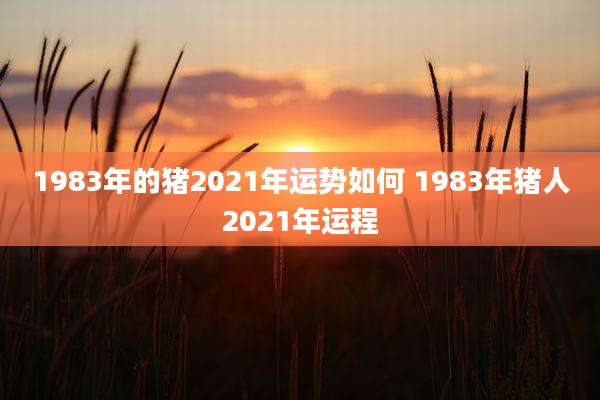 1983年的猪2021年运势如何 1983年猪人2021年运程