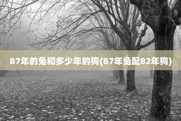 87年的兔和多少年的狗(87年兔配82年狗)