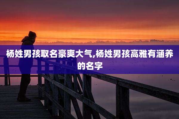 杨姓男孩取名豪爽大气,杨姓男孩高雅有涵养的名字