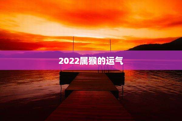 2022属猴的运气