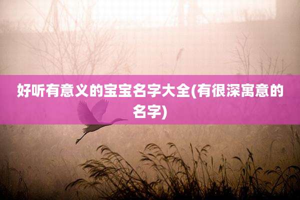 好听有意义的宝宝名字大全(有很深寓意的名字)