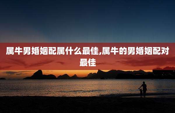 属牛男婚姻配属什么最佳,属牛的男婚姻配对最佳