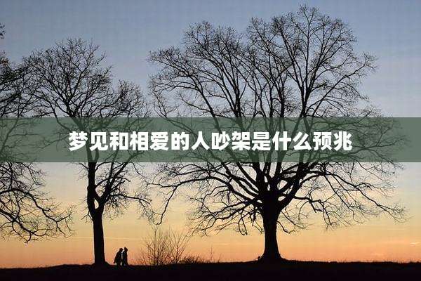 梦见和相爱的人吵架是什么预兆