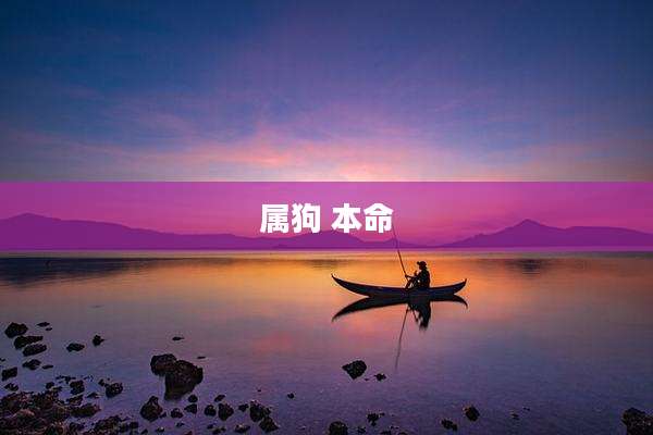 属狗 本命