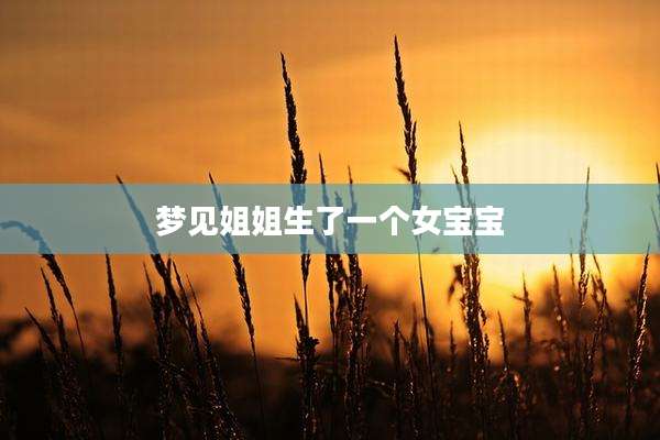 梦见姐姐生了一个女宝宝