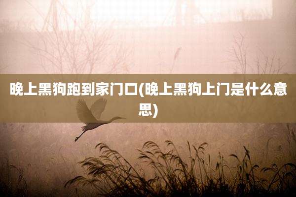 晚上黑狗跑到家门口(晚上黑狗上门是什么意思)
