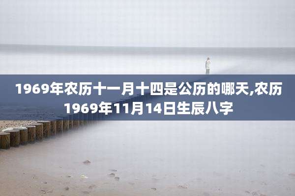 1969年农历十一月十四是公历的哪天,农历1969年11月14日生辰八字