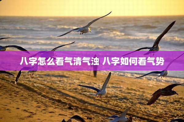 八字怎么看气清气浊 八字如何看气势
