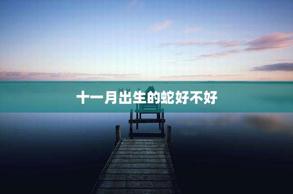 十一月出生的蛇好不好