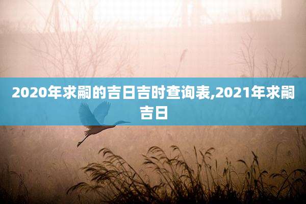 2020年求嗣的吉日吉时查询表,2021年求嗣吉日