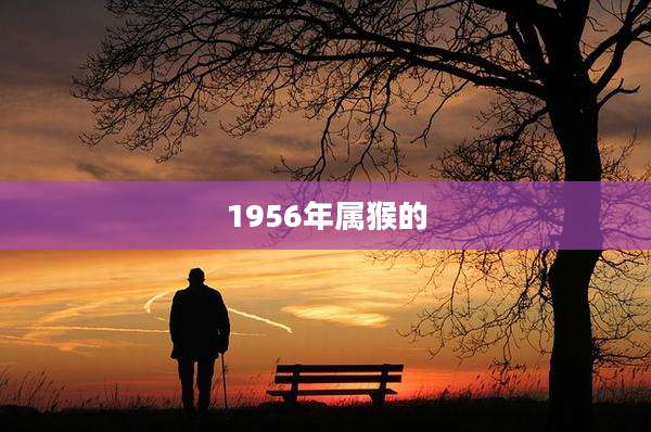1956年属猴的