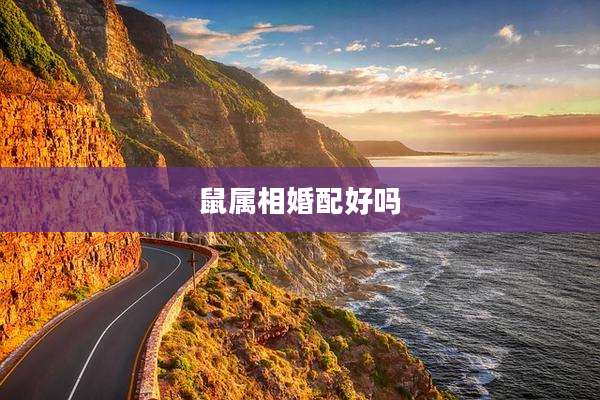 鼠属相婚配好吗