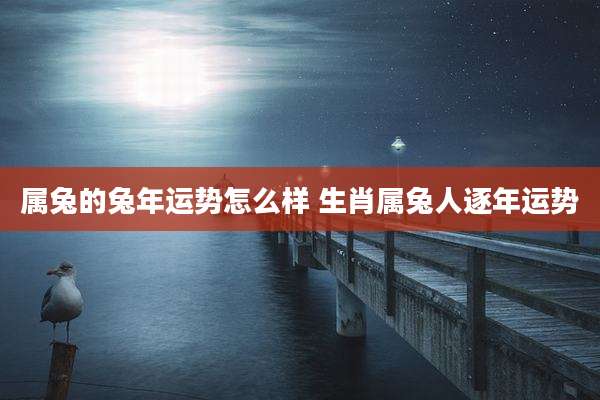 属兔的兔年运势怎么样 生肖属兔人逐年运势