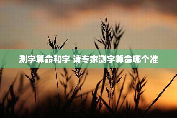 测字算命和字 请专家测字算命哪个准