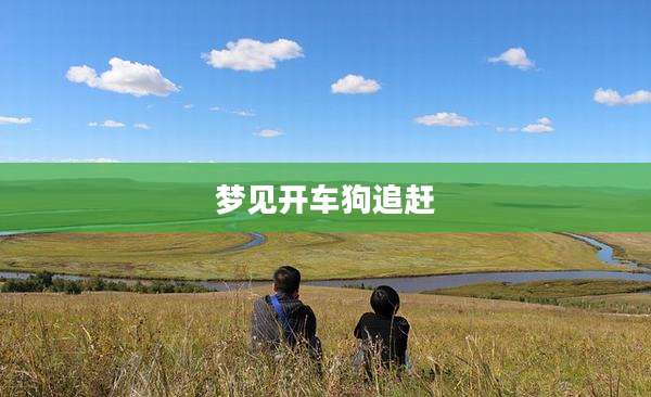 梦见开车狗追赶