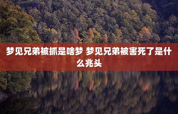 梦见兄弟被抓是啥梦 梦见兄弟被害死了是什么兆头
