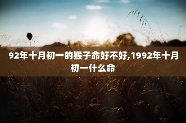 92年十月初一的猴子命好不好,1992年十月初一什么命