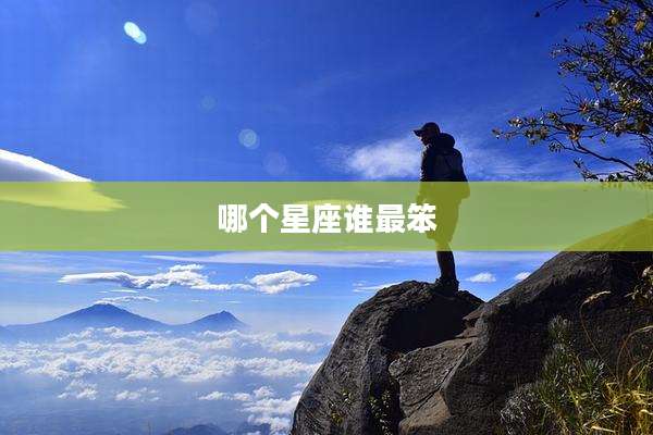 哪个星座谁最笨