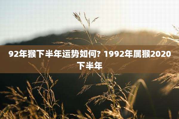 92年猴下半年运势如何? 1992年属猴2020下半年