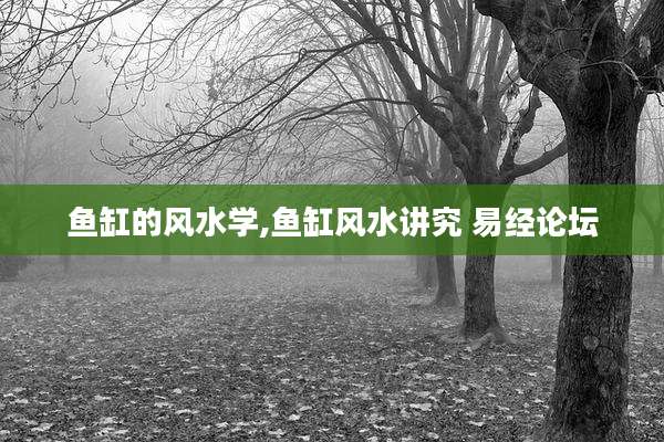 鱼缸的风水学,鱼缸风水讲究 易经论坛
