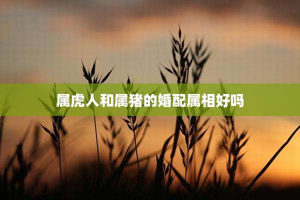 属虎人和属猪的婚配属相好吗