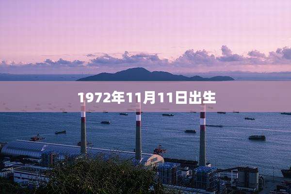 1972年11月11日出生