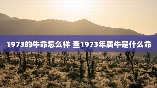 1973的牛命怎么样 查1973年属牛是什么命
