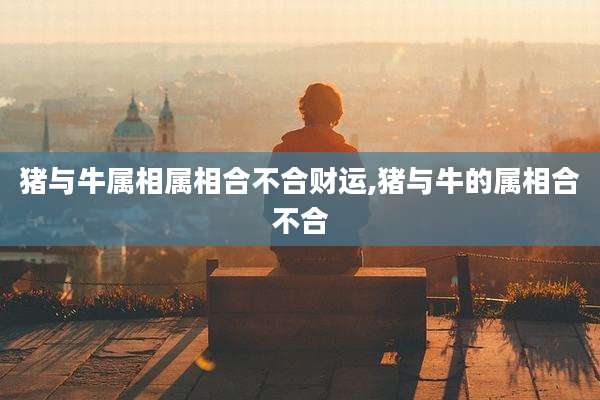 猪与牛属相属相合不合财运,猪与牛的属相合不合