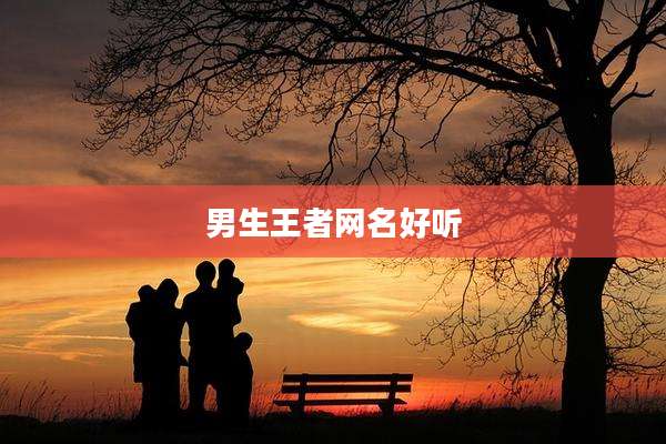 男生王者网名好听