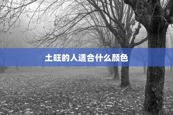 土旺的人适合什么颜色