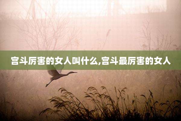 宫斗厉害的女人叫什么,宫斗最厉害的女人