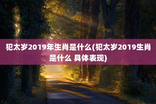 犯太岁2019年生肖是什么(犯太岁2019生肖是什么 具体表现)