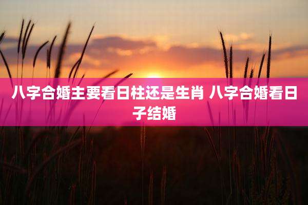 八字合婚主要看日柱还是生肖 八字合婚看日子结婚