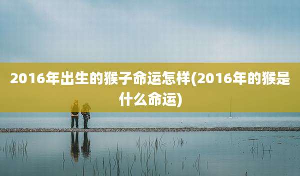 2016年出生的猴子命运怎样(2016年的猴是什么命运)