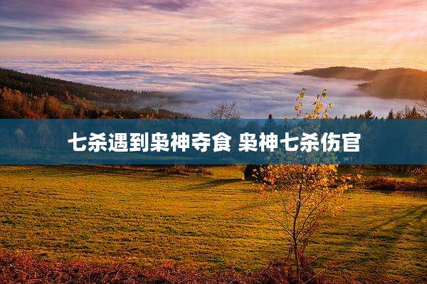 七杀遇到枭神夺食 枭神七杀伤官