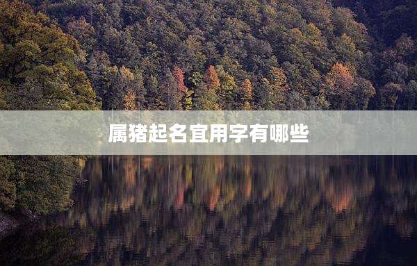 属猪起名宜用字有哪些