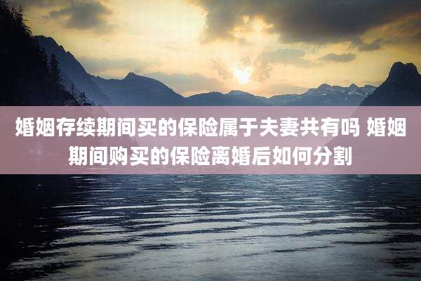 婚姻存续期间买的保险属于夫妻共有吗 婚姻期间购买的保险离婚后如何分割