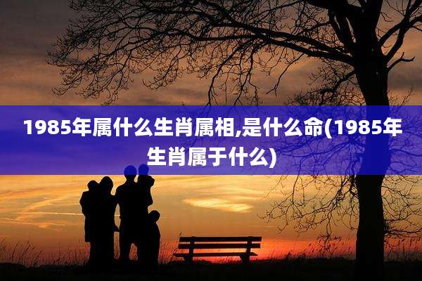 1985年属什么生肖属相,是什么命(1985年生肖属于什么)