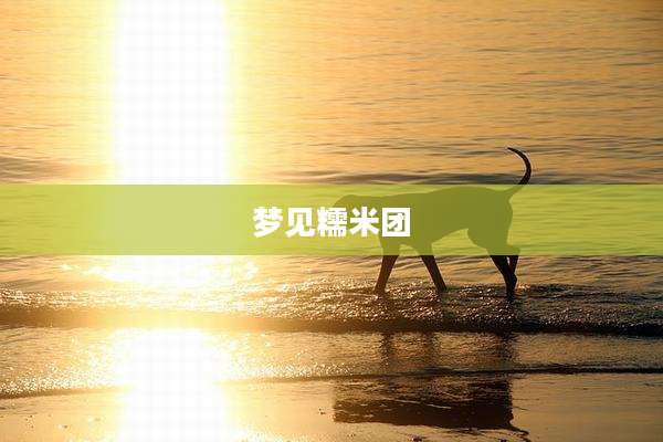 梦见糯米团
